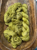 Polymorph Ambrosia